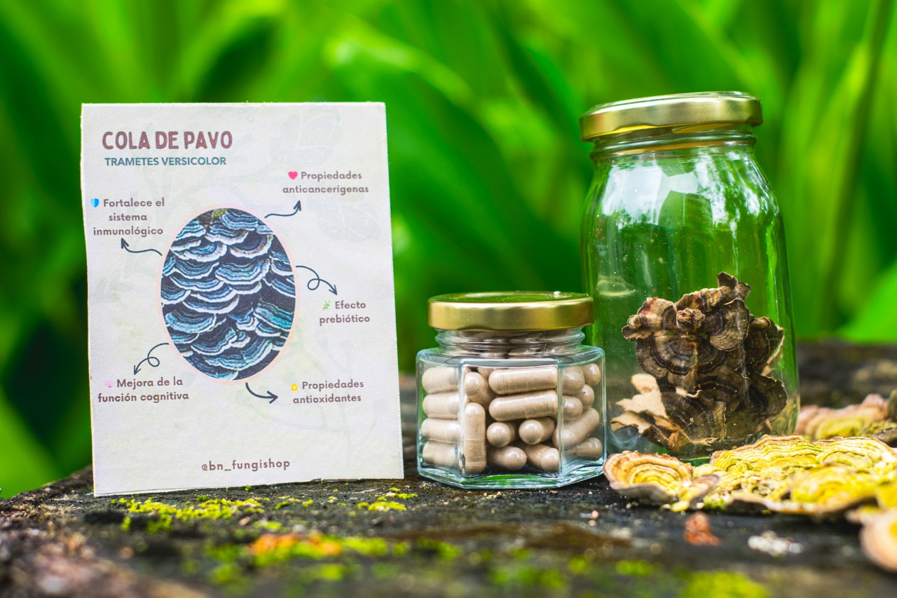 Micro Cola de Pavo - Vista 6